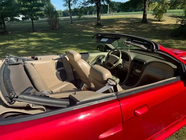 2002 Ford SN95 Mustang - Image 4 of 10
