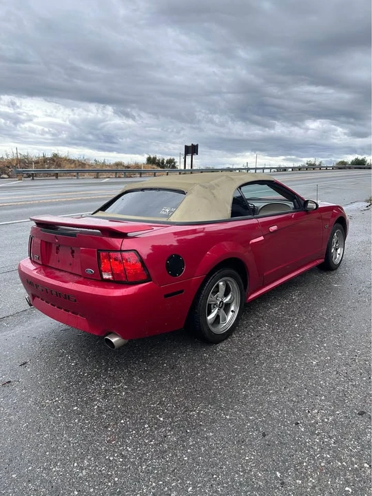 2002 Ford SN95 Mustang - Image 4 of 14