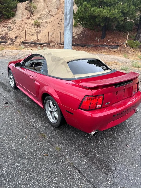 2002 Ford SN95 Mustang - Image 6 of 14