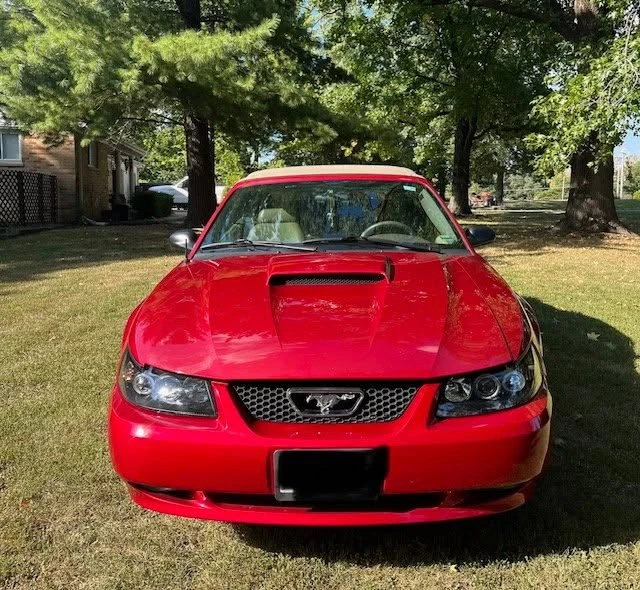 2002 Ford SN95 Mustang - Image 2 of 10