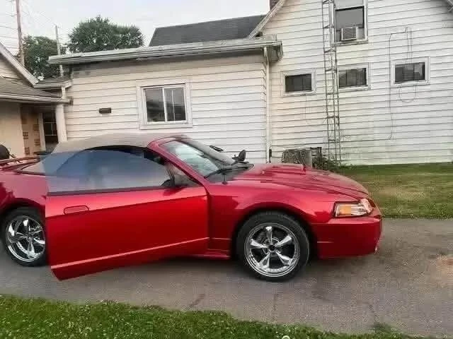 2002 Ford SN95 Mustang - Image 6 of 7