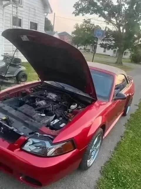 2002 Ford SN95 Mustang - Image 5 of 7