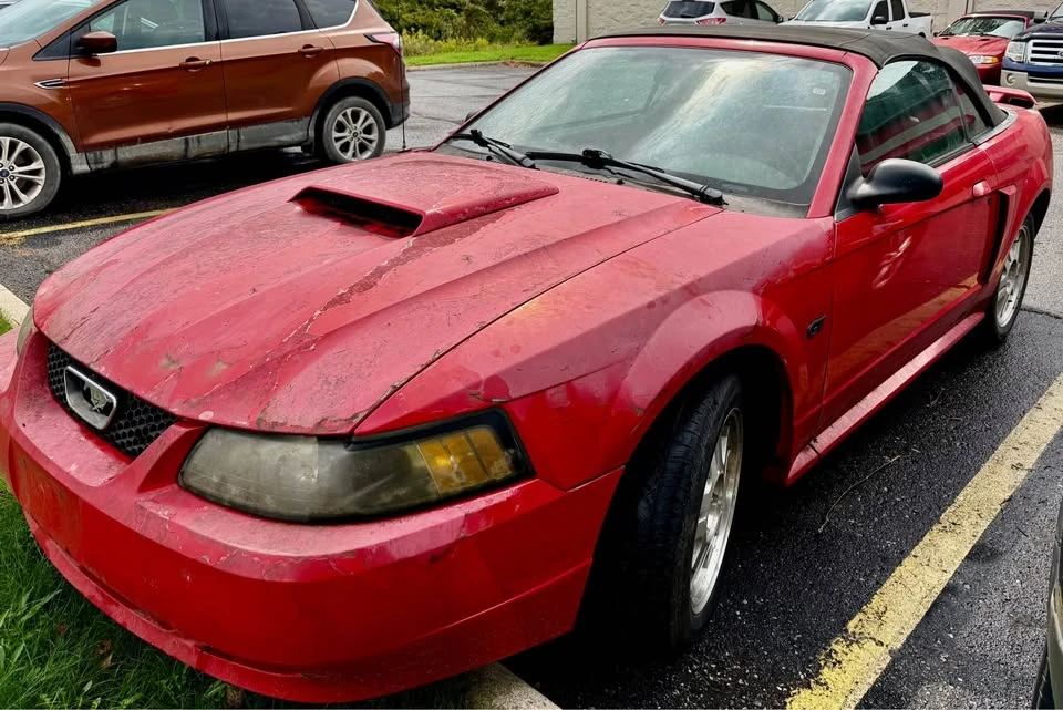 2002 Ford SN95 Mustang - Image 2 of 4