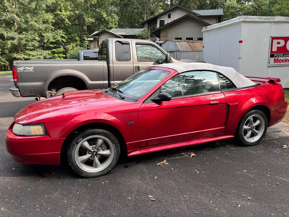 2002 Ford SN95 Mustang - Image 2 of 4