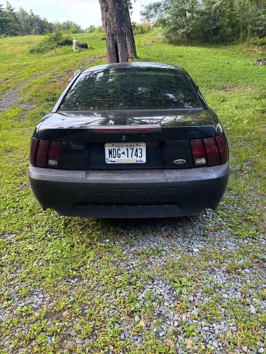 2002 Ford SN95 Mustang - Image 3 of 5
