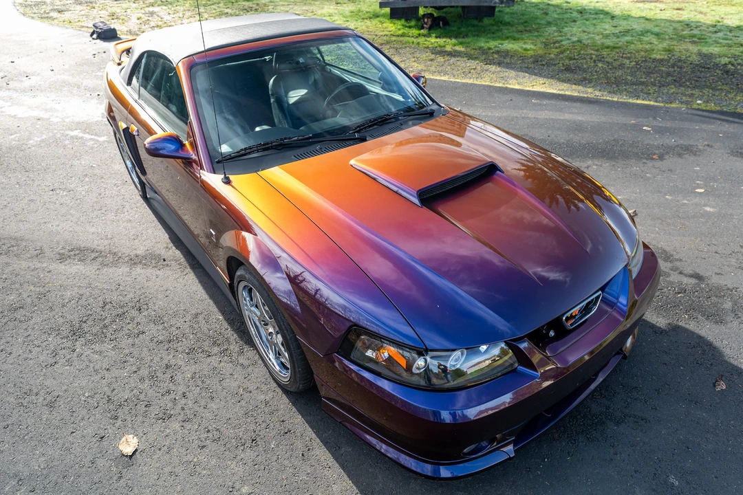 2002 Ford SN95 Mustang - Image 2 of 31