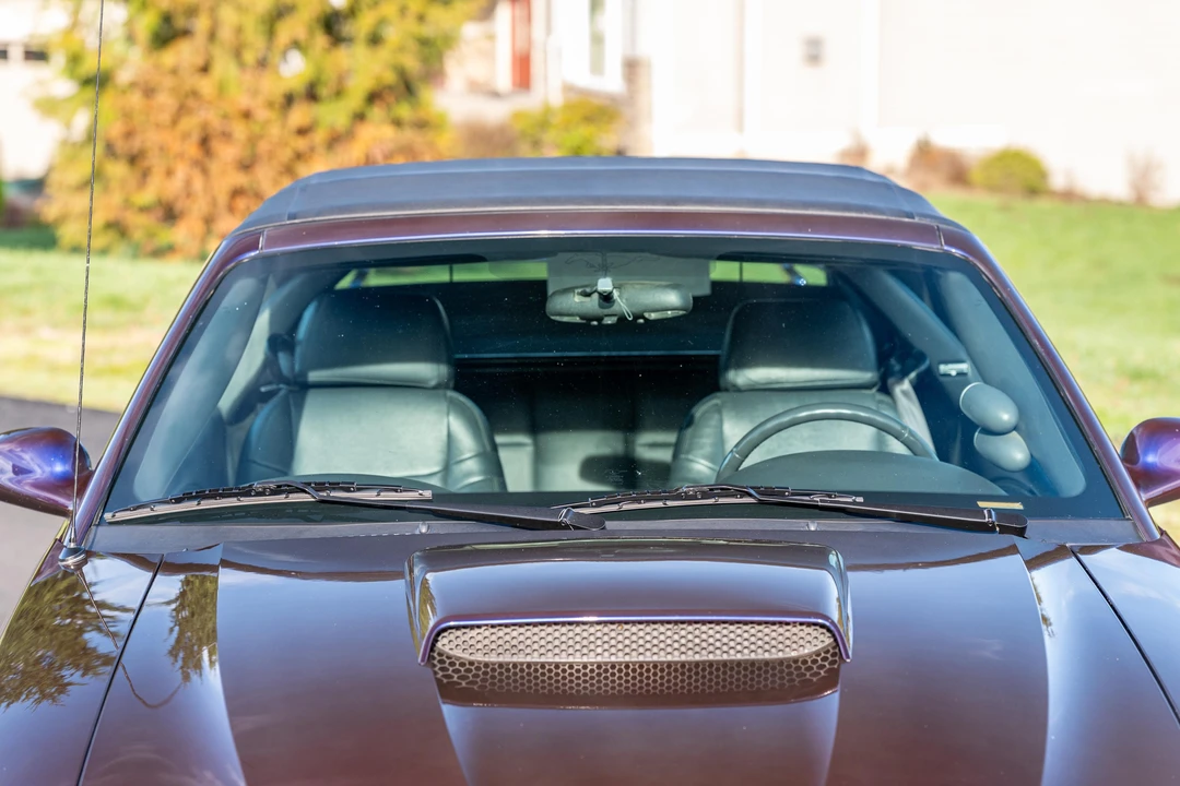 2002 Ford SN95 Mustang - Image 24 of 31