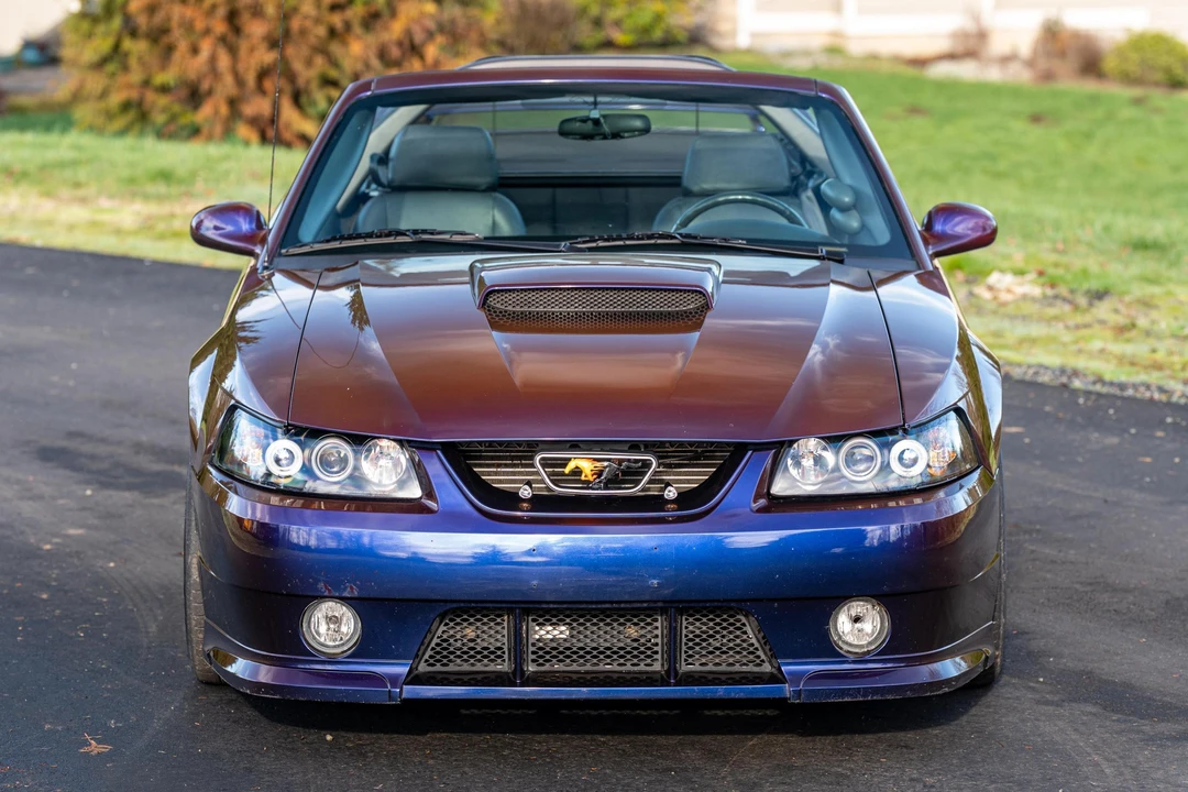 2002 Ford SN95 Mustang - Image 6 of 31