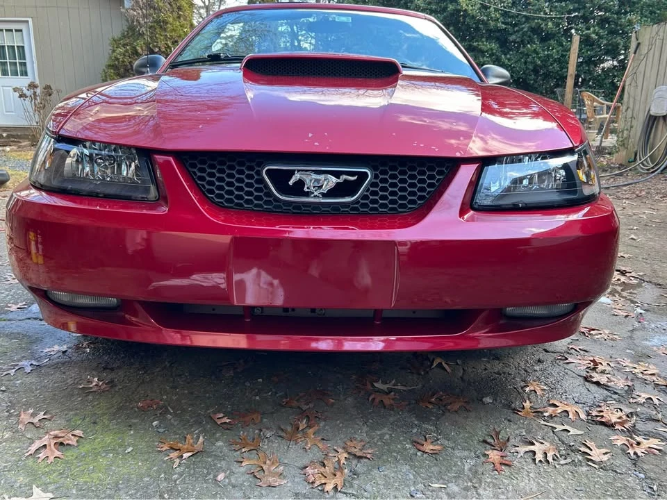 2002 Ford SN95 Mustang - Image 2 of 10