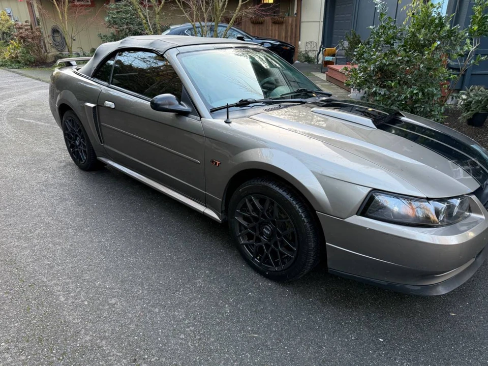 2002 Ford SN95 Mustang - Image 4 of 5