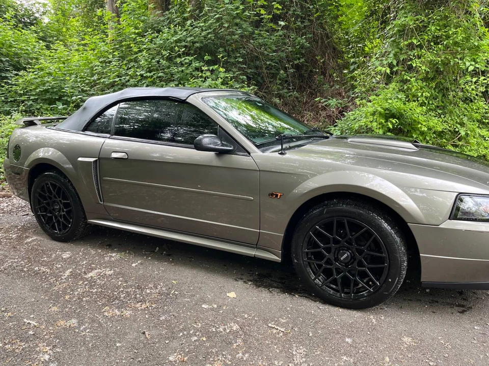 2002 Ford SN95 Mustang - Image 5 of 5