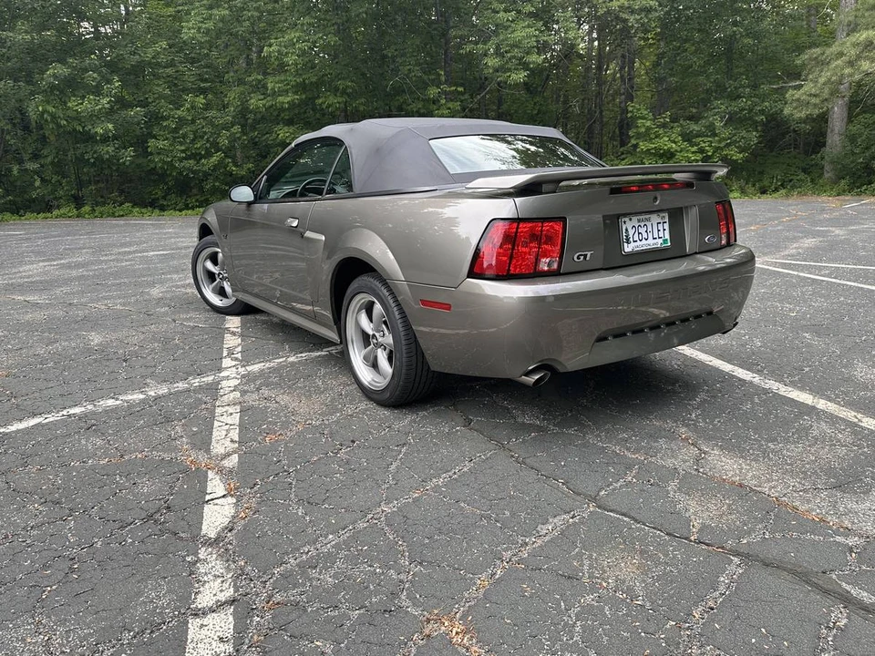2002 Ford SN95 Mustang - Image 8 of 22