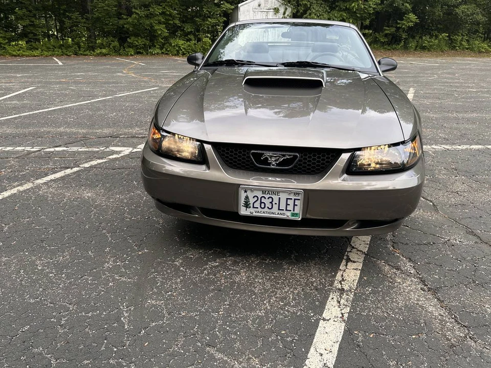 2002 Ford SN95 Mustang - Image 4 of 22
