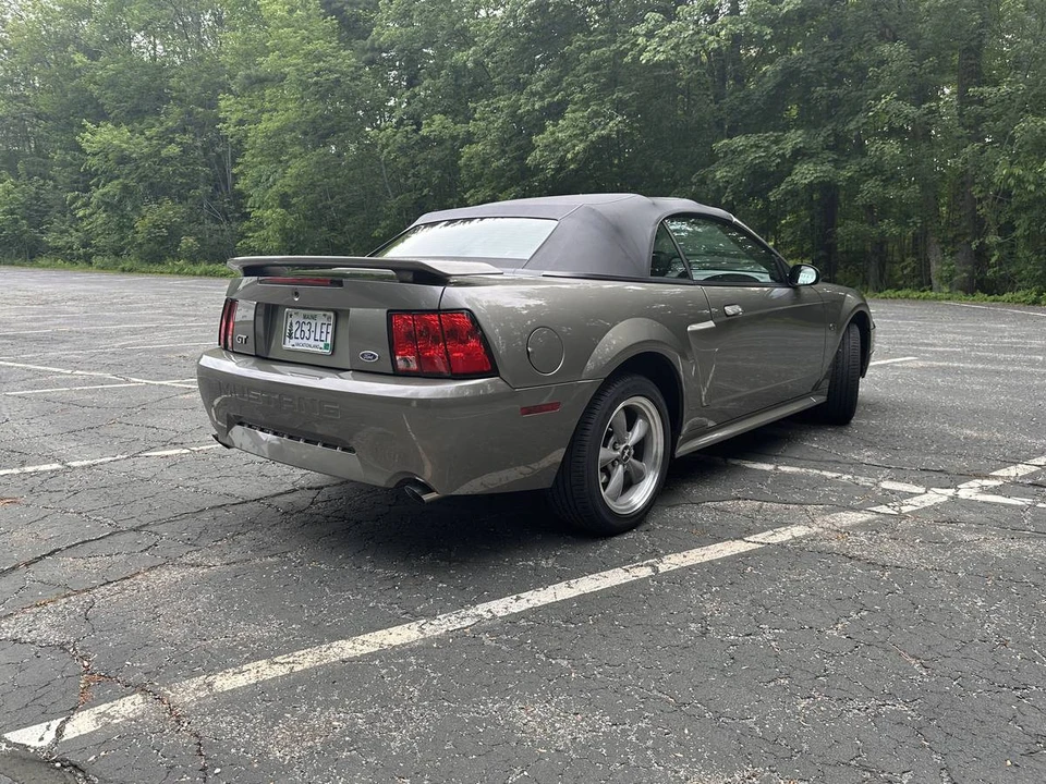 2002 Ford SN95 Mustang - Image 7 of 22
