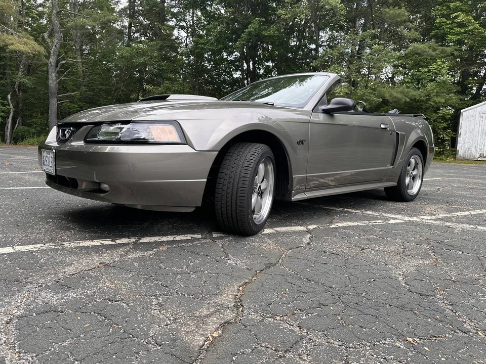 2002 Ford SN95 Mustang - Image 2 of 22