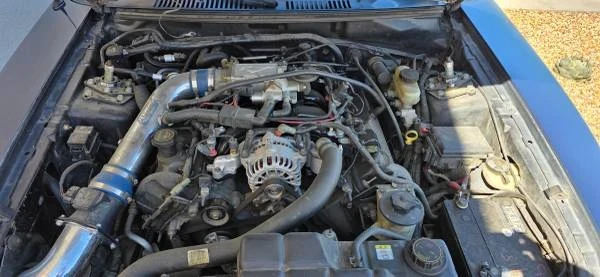 2002 Ford SN95 Mustang - Image 6 of 7