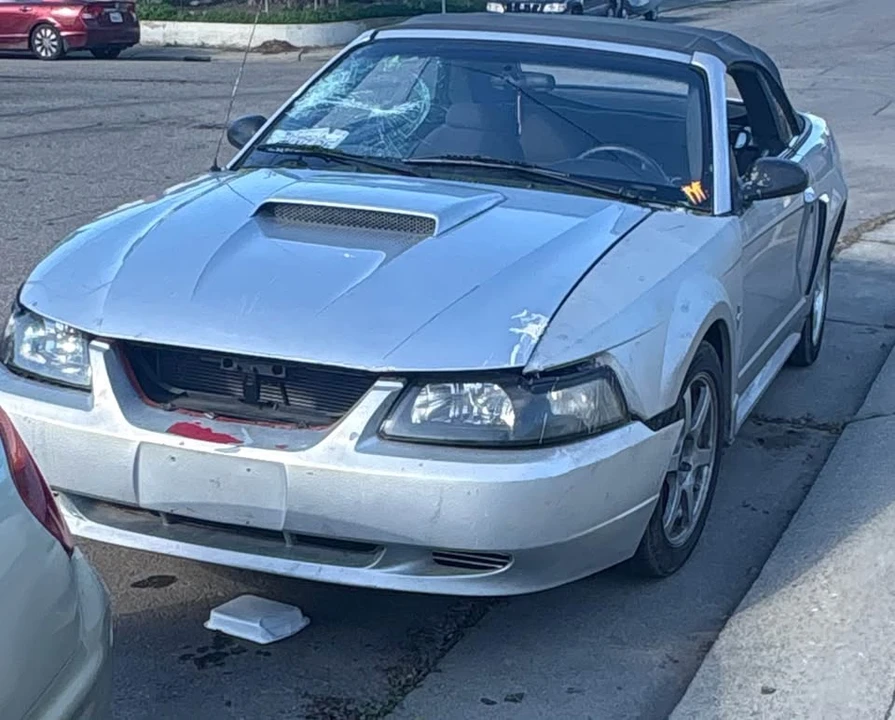 2002 Ford SN95 Mustang - Image 4 of 5