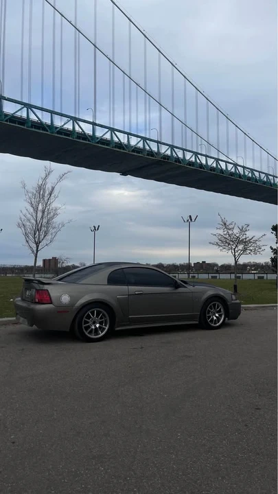 2002 Ford SN95 Mustang - Image 2 of 3