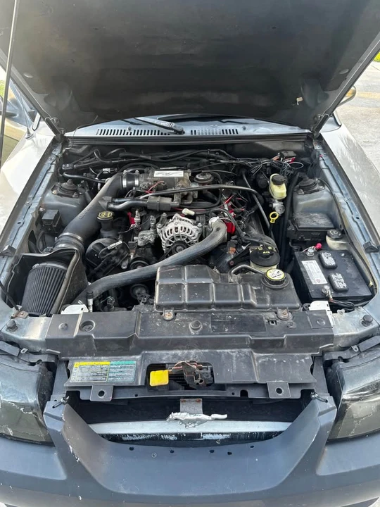 2002 Ford SN95 Mustang - Image 5 of 11