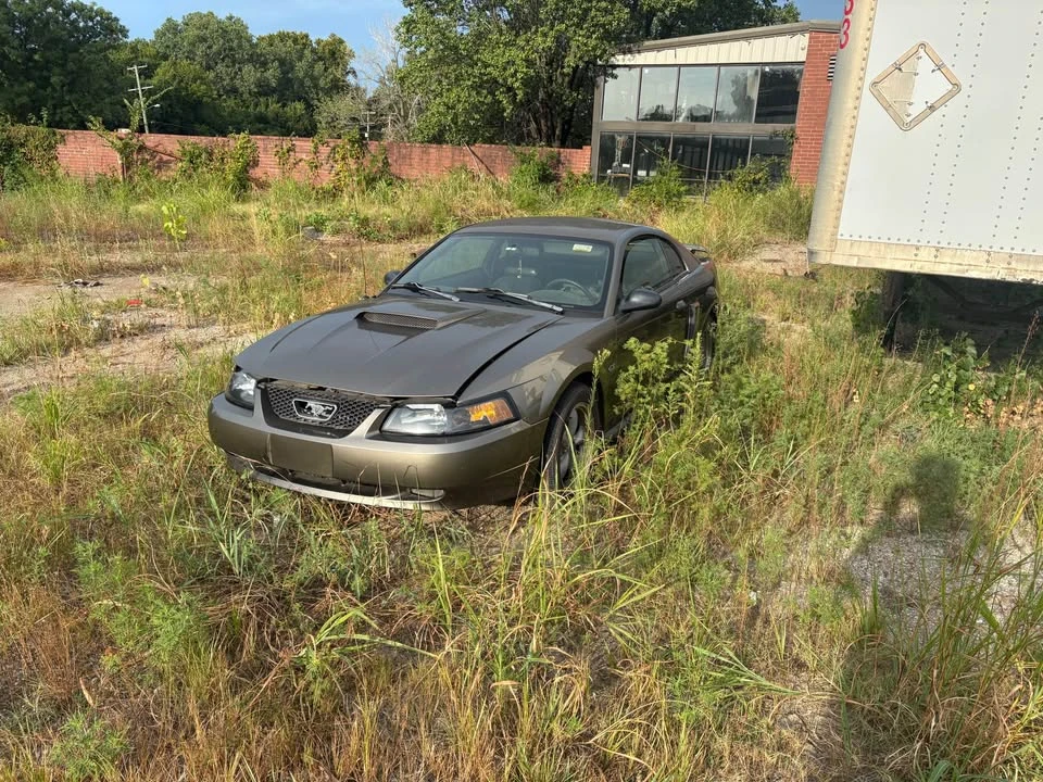 2002 Ford SN95 Mustang - Image 2 of 6