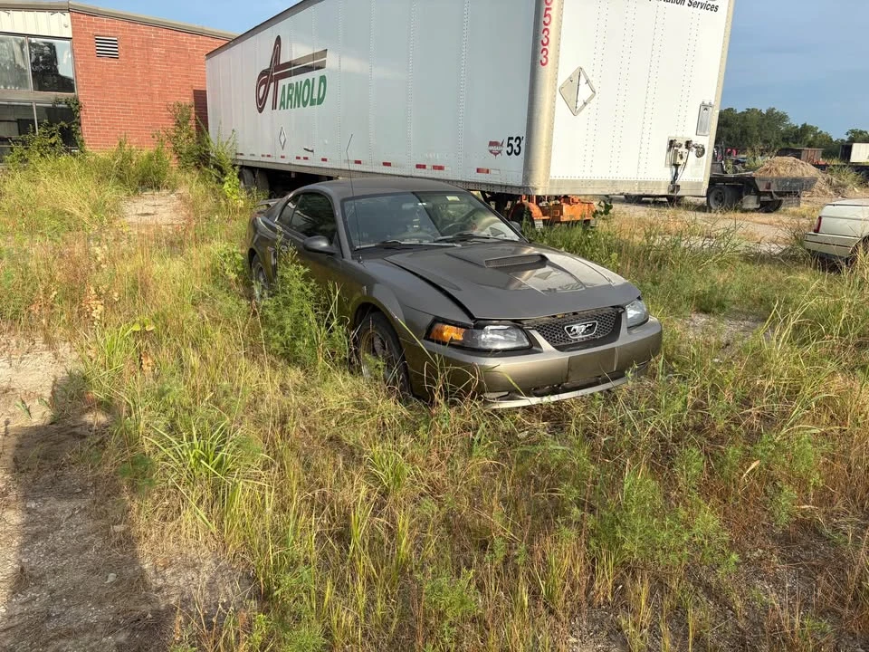 2002 Ford SN95 Mustang - Image 3 of 6