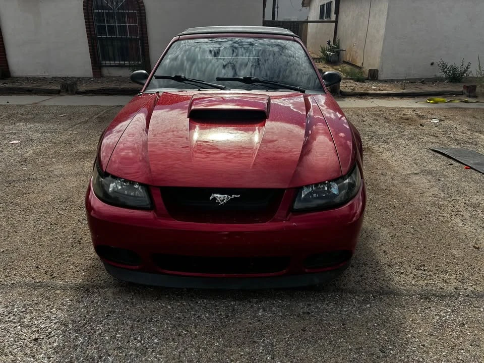 2002 Ford SN95 Mustang - Image 3 of 7