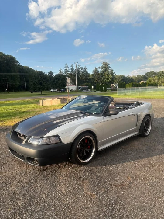 2002 Ford SN95 Mustang - Image 15 of 19