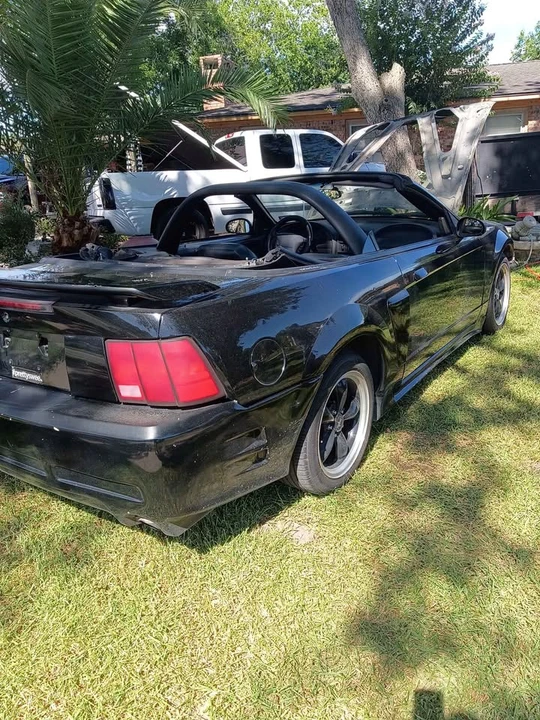 2002 Ford SN95 Mustang - Image 6 of 9