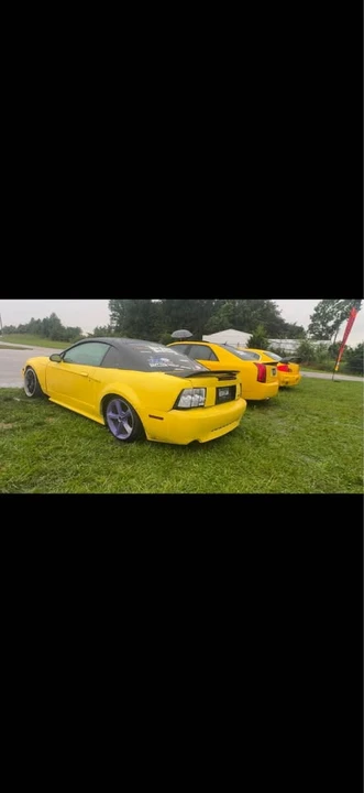 2002 Ford SN95 Mustang - Image 6 of 8