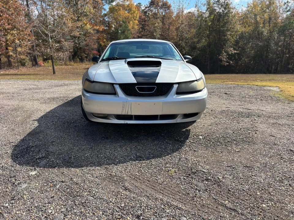 2002 Ford SN95 Mustang - Image 3 of 13