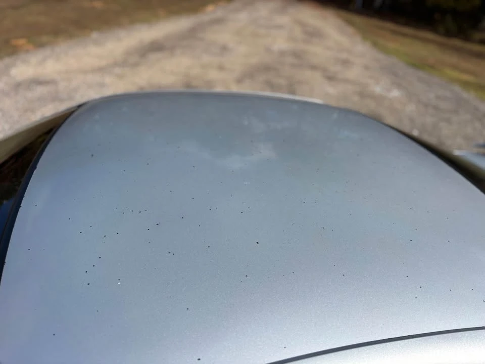 2002 Ford SN95 Mustang - Image 7 of 13