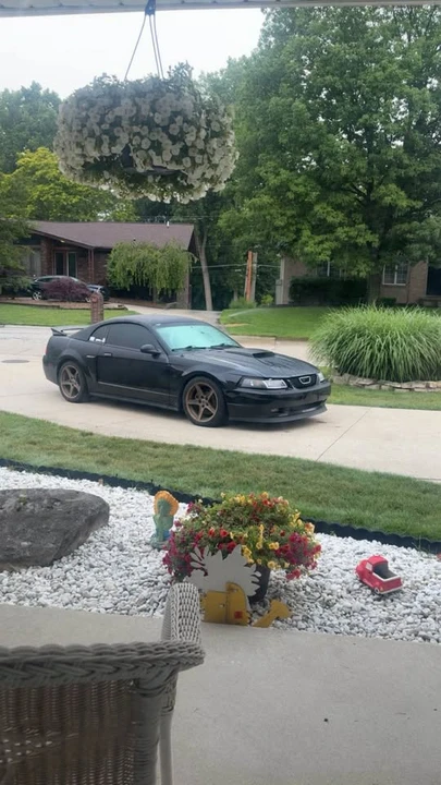 2002 Ford SN95 Mustang - Image 2 of 12