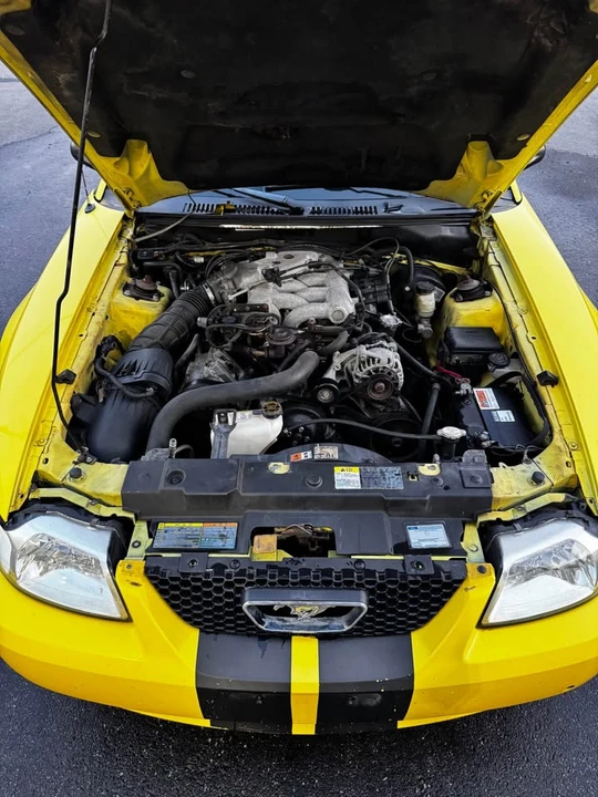 2002 Ford SN95 Mustang - Image 4 of 10