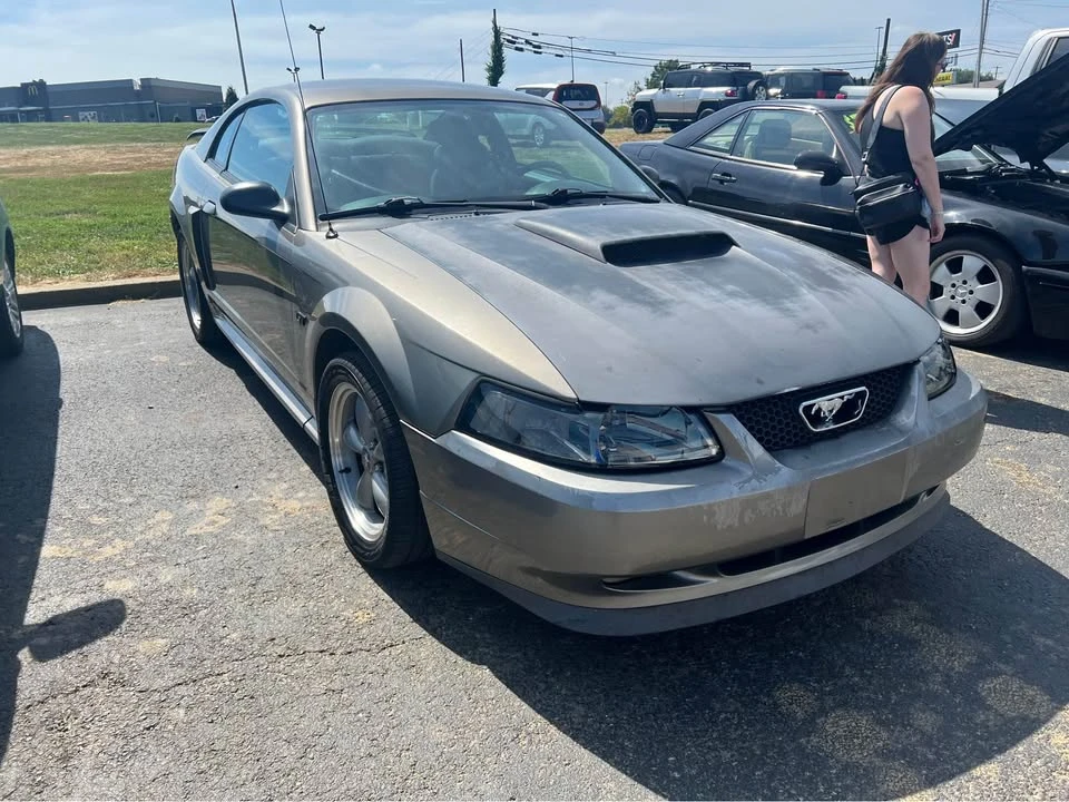 2002 Ford SN95 Mustang - Image 2 of 9