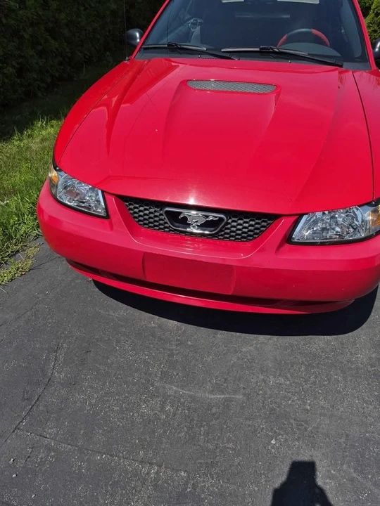 2002 Ford SN95 Mustang - Image 2 of 11