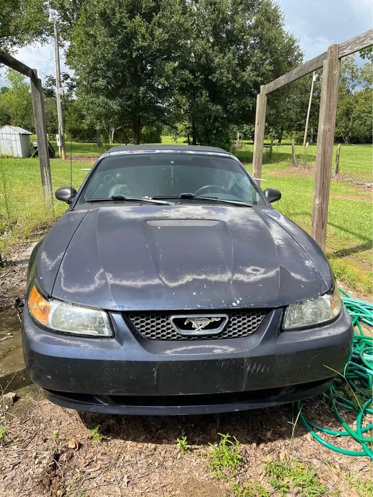 2002 Ford SN95 Mustang - Image 2 of 8
