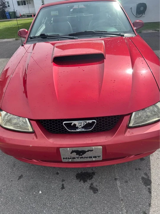 2002 Ford SN95 Mustang - Image 6 of 9