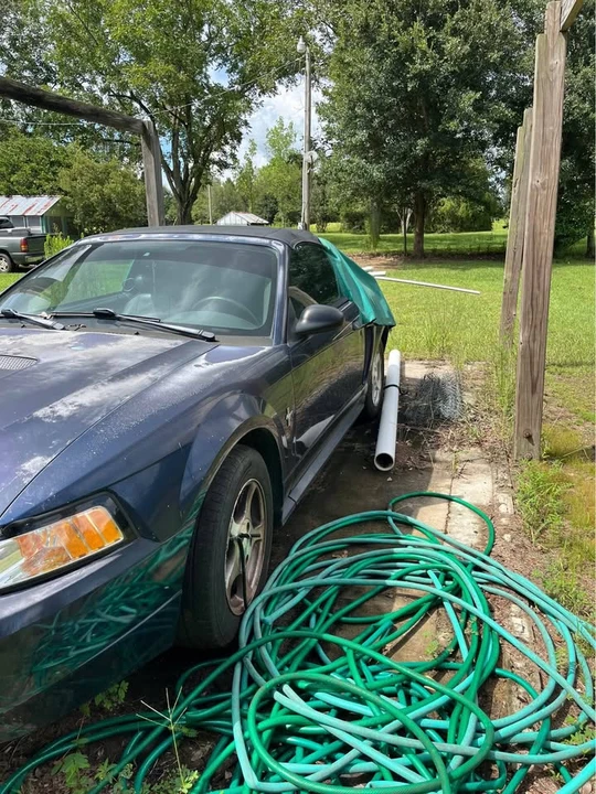 2002 Ford SN95 Mustang - Image 3 of 8