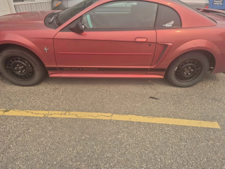 2002 Ford SN95 Mustang - Image 4 of 5