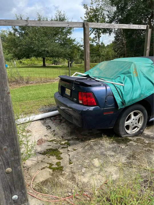 2002 Ford SN95 Mustang - Image 4 of 8