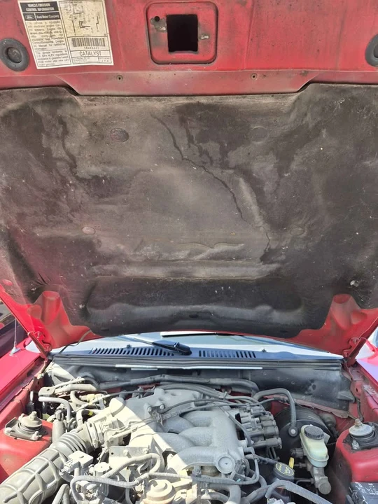2002 Ford SN95 Mustang - Image 11 of 16