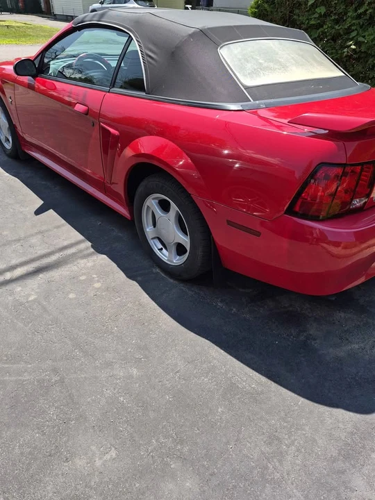2002 Ford SN95 Mustang - Image 3 of 16