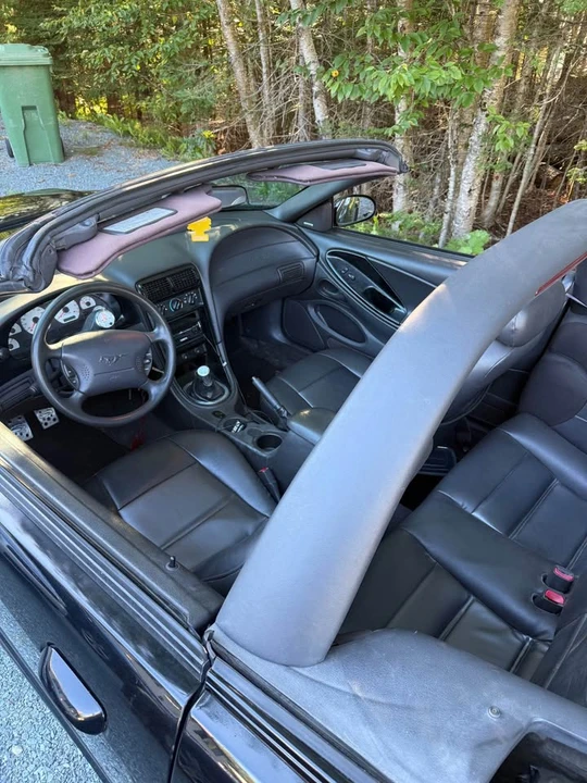2002 Ford SN95 Mustang - Image 7 of 8