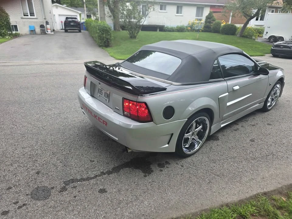 2002 Ford SN95 Mustang - Image 6 of 10