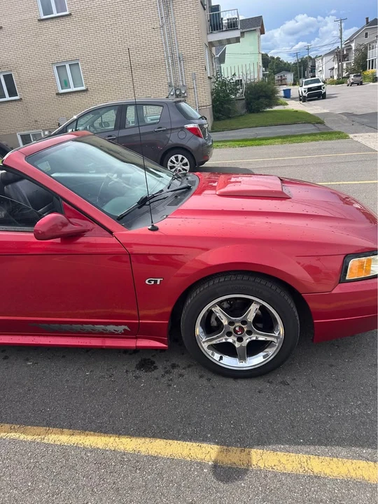 2002 Ford SN95 Mustang - Image 5 of 9