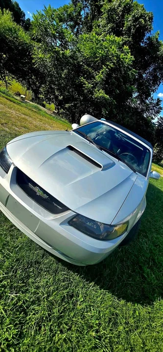 2002 Ford SN95 Mustang - Image 20 of 20