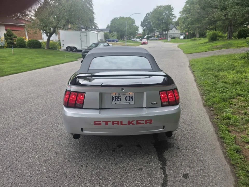 2002 Ford SN95 Mustang - Image 7 of 10