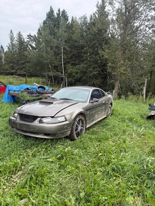 2002 Ford SN95 Mustang - Image 4 of 4