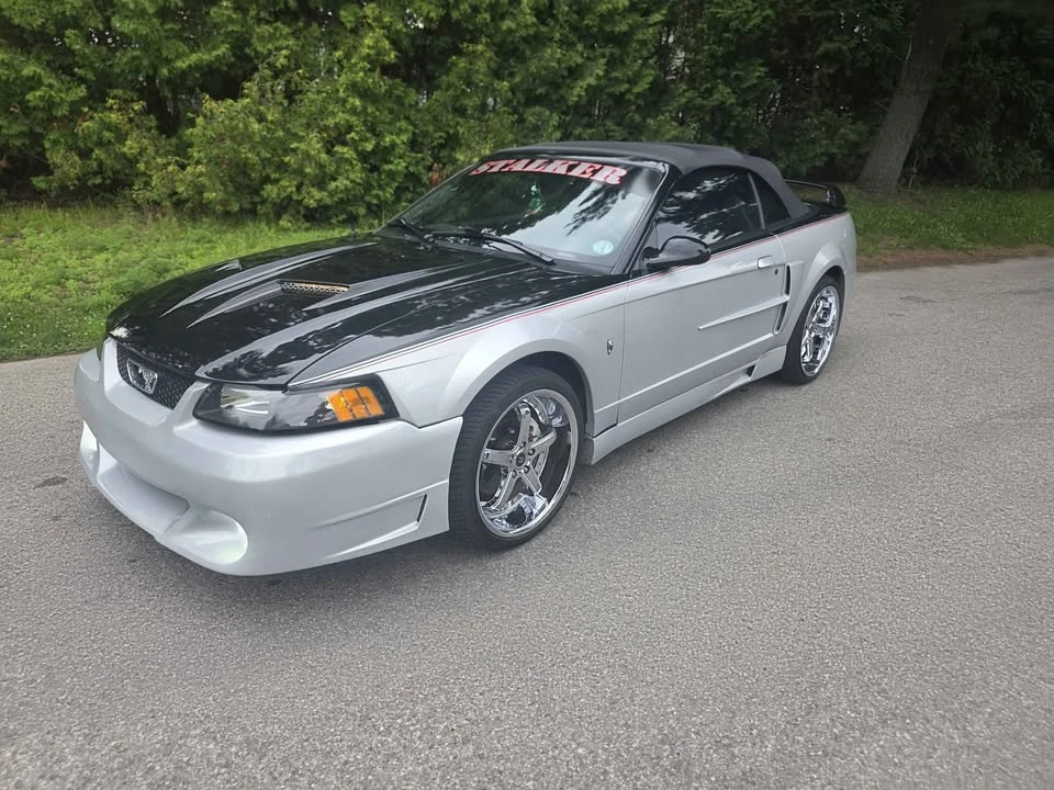 2002 Ford SN95 Mustang - Image 3 of 10