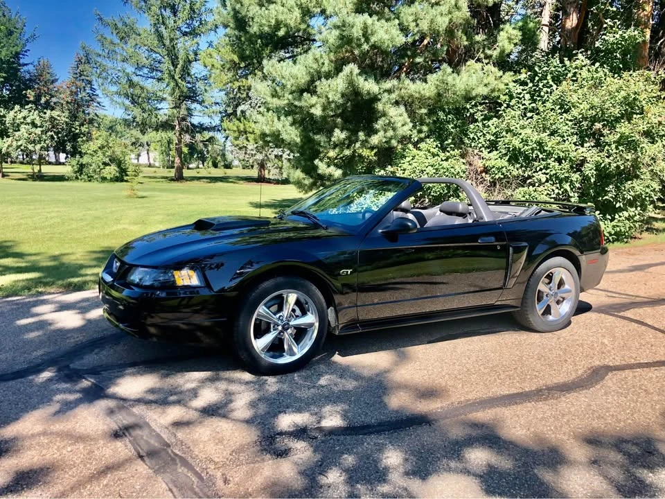 2002 Ford SN95 Mustang - Image 5 of 6